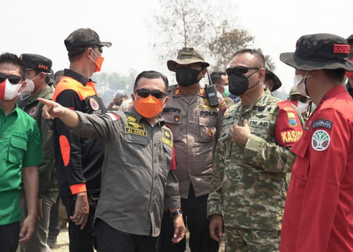 Duh! Enam Hektare Tahura di Batang Hari Terbakar, TNI dan Pemprov Jambi Perkuat Penanganan