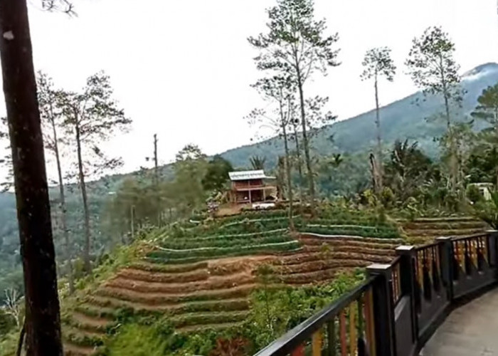 5 Tempat Wisata Paling Direkomendasikan di Tanah Datar, Sumatera Barat