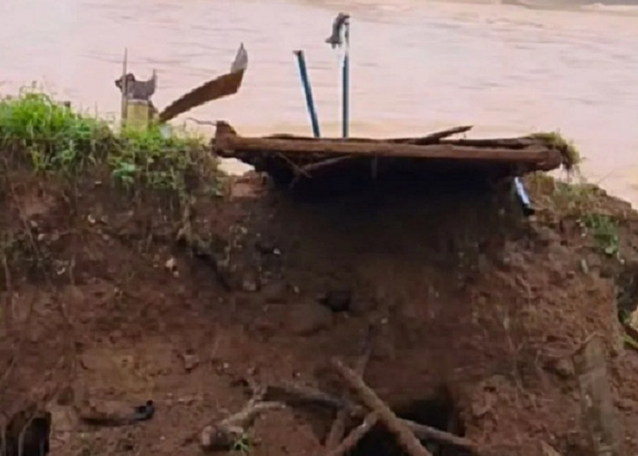 Jembatan Gantung Pulau Aro Pelalawan Sarolangun Ambruk, Akses Vital Warga Terputus