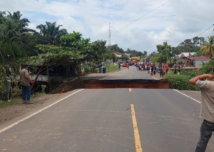 Jalinsum Bungo Putus Total, Hujan Deras Sebabkan Jalan Lintas Sumatera Amblas, Lalu Lintas Lumpuh Total