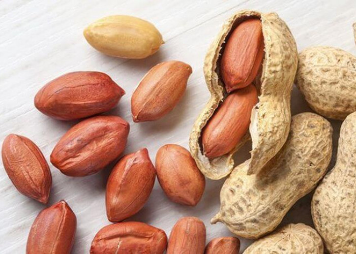 Tips Memasak Kacang Bawang yang Empuk dan Renyah