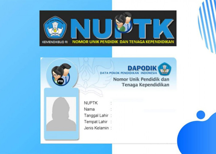 Ini Cara Cek NUPTK Online Lewat HP, Mudah Anti Ribet, Ini Panduan Lengkapnya