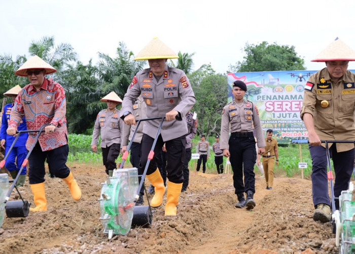 Dukung Swasembada Pangan 2025, Kapolda Jambi Lakukan Penanaman Jagung Serentak