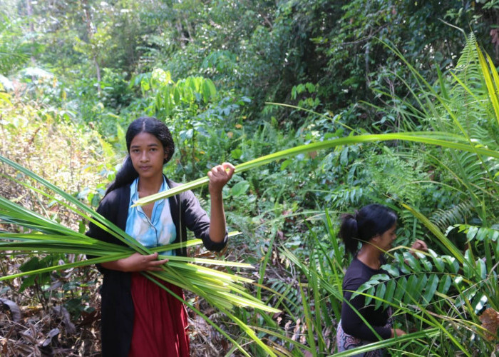 PFI Jambi dan Pundi Sumatra Menantang Anak Muda “Bemalom “ Bersama Suku Anak Dalam Desa Dwi Karya