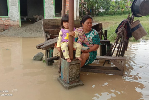 Dapur Masih Terendam, Korban Banjir di Kerinci: Kami Belum Makan 