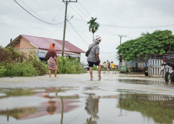 Gawat! Banjir di Muaro Jambi, 8.355 Rumah Terdampak, Sekolah Ikut Terendam