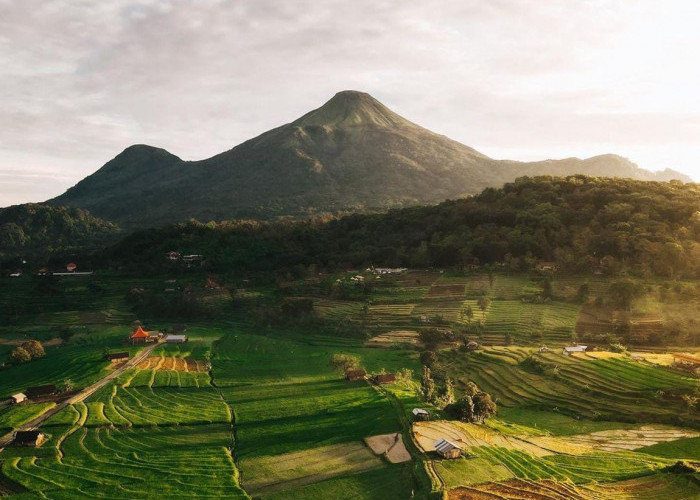 Trawas, Daerah Wisata di Mojokerto Jawa Timur dengan Sejuta Keindahannya