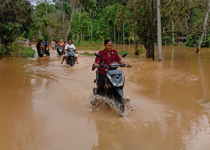 Banjir di Bungo saat Pemungutan Suara Pilkada 2024 Rendam 15 Rumah, Warga Kesulitan Capai TPS