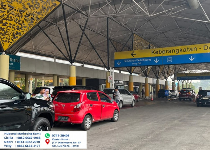 Kabut Asap Jambi Akibat Karhutla Makin Jadi! Jarak Pandang Bandara Sultan Thaha Sempat 800 Meter