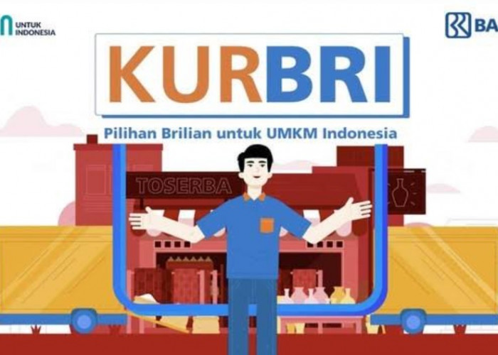 KUR BRI 2024: Solusi Terbaik untuk UMKM dengan Beragam Keuntungan Menarik