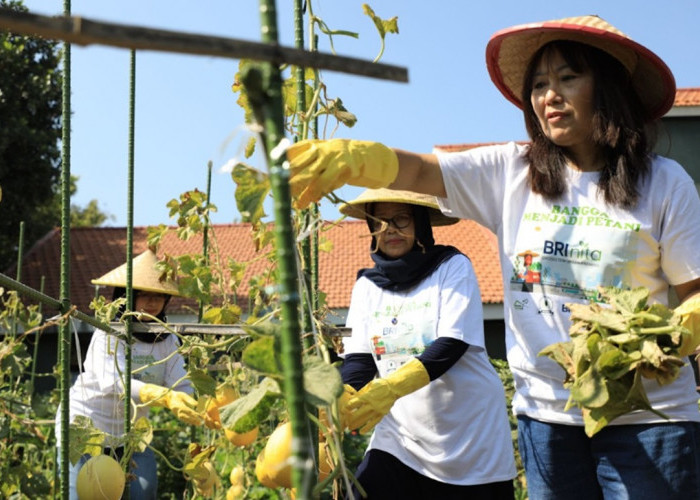 Berdayakan Perempuan, BRI Raih Penghargaan Indonesia Women's Empowerment Principles Awards 2024