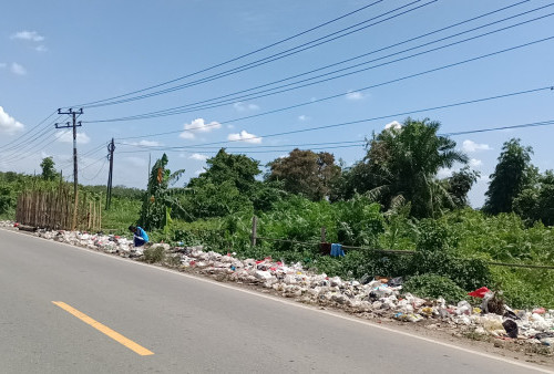 Sampah di Kelurahan Penyengat Rendah, Camat: Itu Warga dari Kabupaten Muarojambi yang Buang 