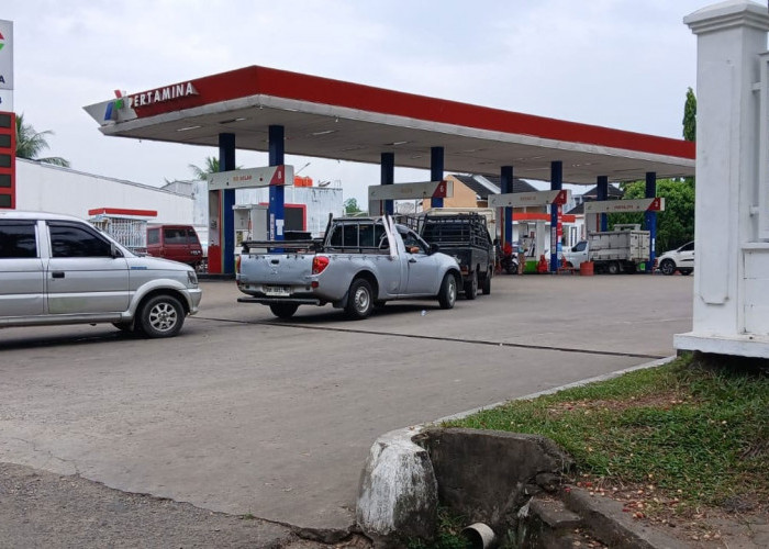 Jambi Siap Gunakan Biodiesel B50, Masyarakat Diminta Tak Khawatir