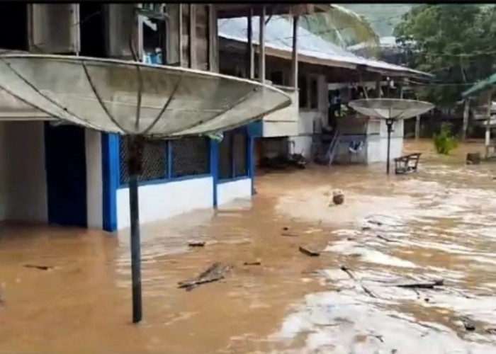 Waduh, Diguyur Hujan Deras, Batang Asai Sarolangun Banjir