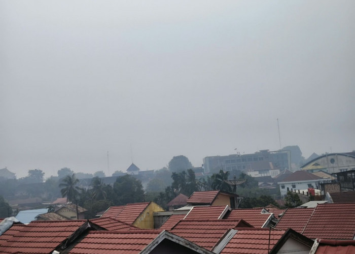 Jambi Berasap! Kondisi Udara Hari Ini Masuk Kategori Tidak Sehat, Warga Keluhkan Mata Perih dan Sulit Bernafas