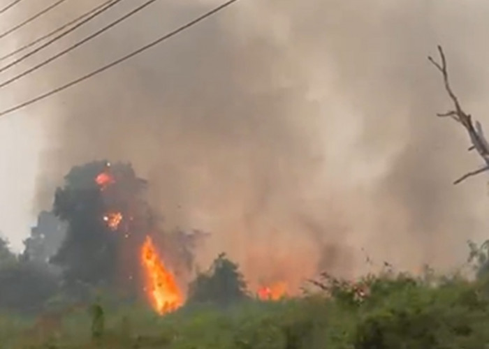 Karhutla di Penyengat Rendah, Kobaran Api Bakar Lahan dan Asap Pekat Membumbung