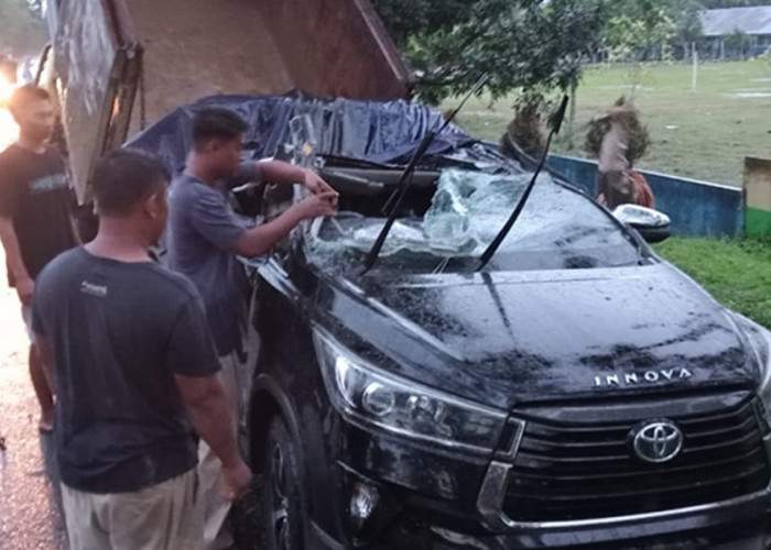 Tragis! Seorang Anggota Polres Tanjab Timur Meninggal Dunia Usai Pohon Tumbang Timpa Mobil yang Dikendarainya