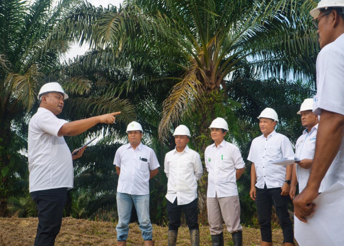 Harmoni Miniatur Indonesia, Mengelola 70 Ribu Tenaga Kerja Multikultur Jadi Kunci Produktivitas PTPN IV Palmco