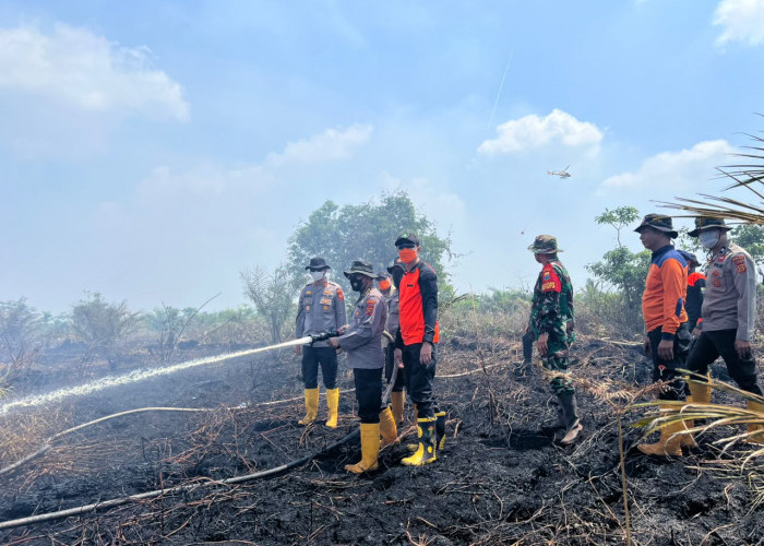 Jambi Mulai Berasap, Belum Ada Imbauan Pakai Masker