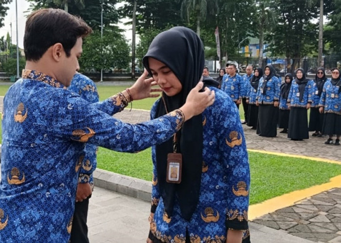 Pemkot Jambi Data Jumlah Pedagang Pasar dan PKL