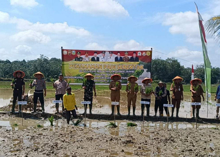 Tanam Padi Serentak Provinsi Jambi, Kabupaten Sarolangun Siapkan Lahan Sawah  3977,86  dan Ladang 4873 Hektar
