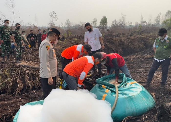 Karo Ops Polda Jambi Cek Karhutla di Londerang, Tim Uji Zat Khusus untuk Padamkan Api di Lahan Gambut
