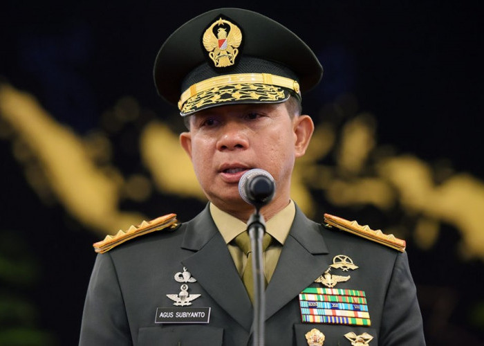TNI Kini Pakai Sebutan OPM, Panglima TNI: Tidak Ada Negara Dalam Suatu Negara