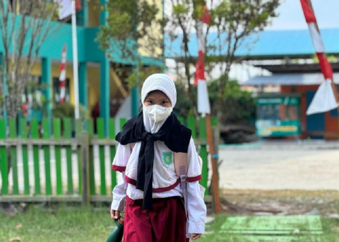 Kualitas Udara Memburuk Akibat Karhutla, Kemenkes: Muaro Jambi Masuk dalam Kategori Berbahaya