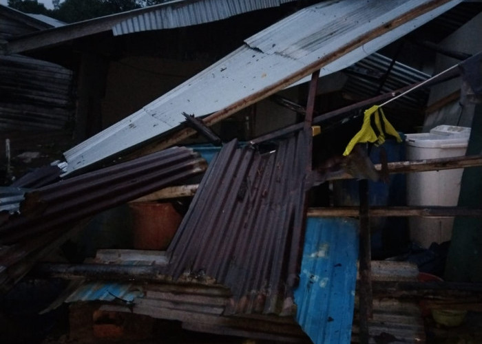 Senyerang Kembali Dilanda Abrasi Sungai, Satu Rumah dan Dermaga Ambruk