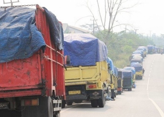 Angkutan Batu Bara di Jambi Distop, Truk Menumpuk di Bengkulu, Ujungnya Diusir