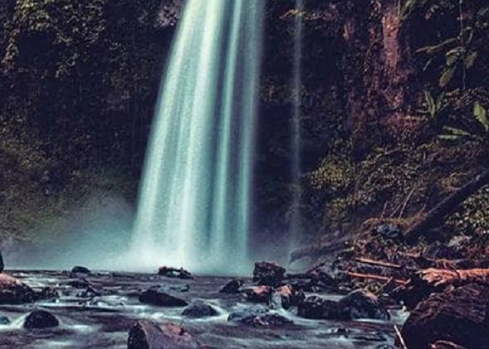 Jelajah Eksotisme Alam Jambi: Dari Puncak Bukit, Air Terjun Tersembunyi hingga Danau Biru