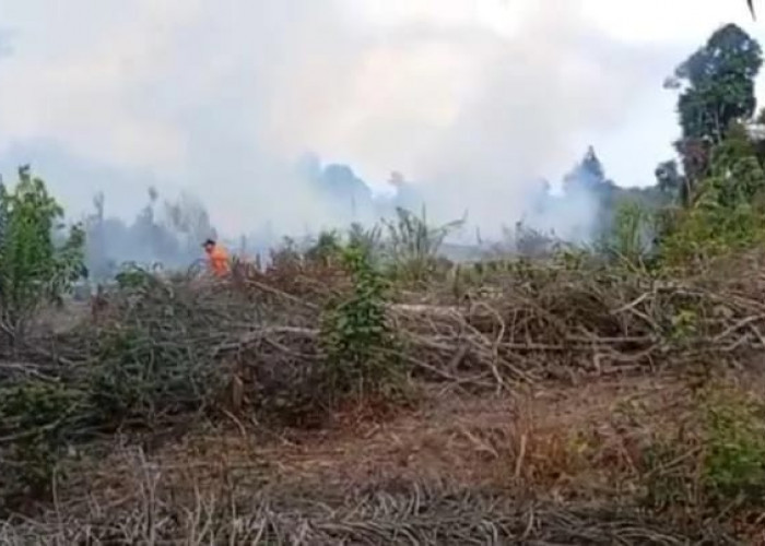 Status Siaga Darurat Karhutla Tebo Diperpanjang, Puncak Musim Kemarau Sepanjang Agustus