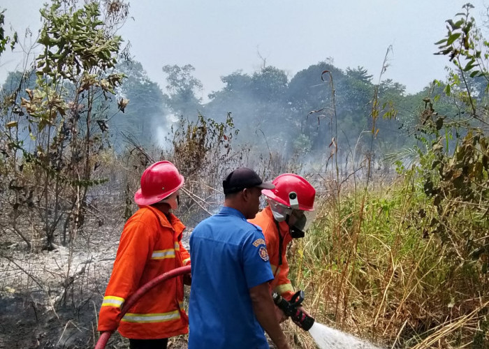 Lagi dan Lagi, Kebakaran Lahan Terjadi di Desa Bukit Baling Muaro Jambi