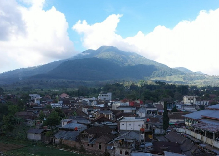 Mengenal Desa BRILian Sumowono, Desa Sayur yang Tumbuh dan Terus Berinovasi Bersama BRI 