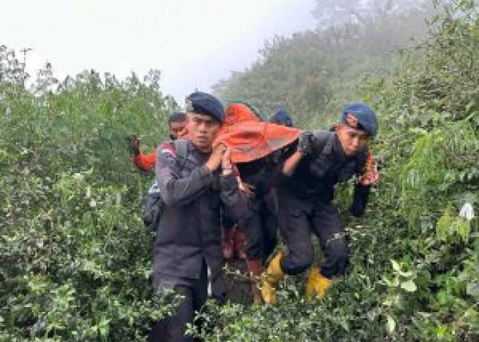 Kepolisian Nyatakan Seluruh Pendaki Gunung Marapi yang Terdata Posko BKSDA Sudah Ditemukan