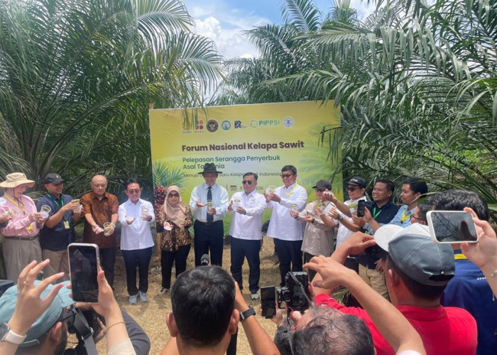 Serangga Penyerbuk Dilepas, Harapan Baru untuk Masa Depan Sawit Indonesia