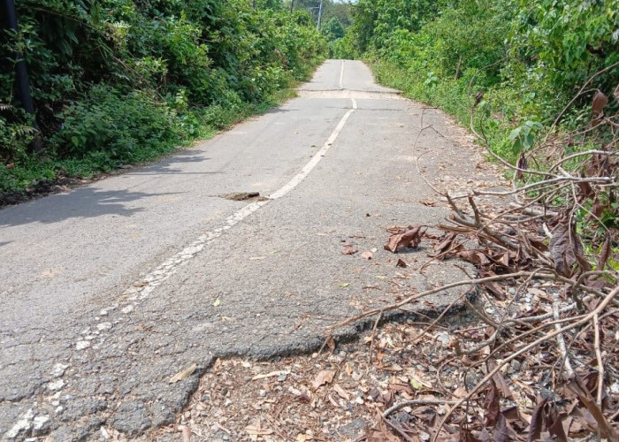 Jalan Provinsi Jambi di Rantau Ikil Jujuhan Amblas, Warga Keluhkan Kondisi Buruk Minta Segera Diperbaiki