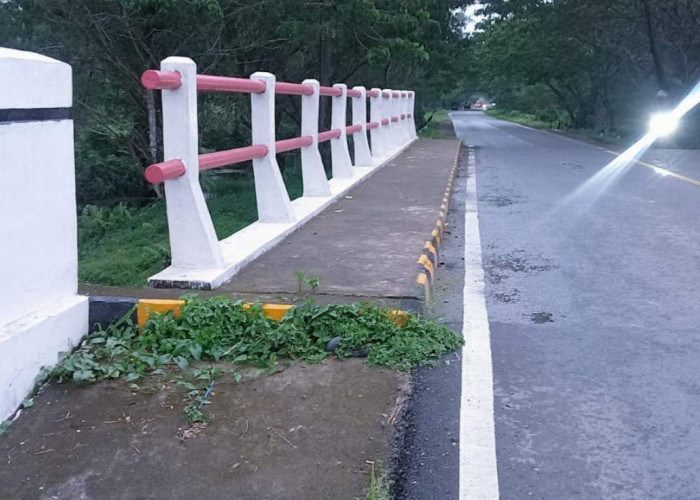 Belasan Tahun Jembatan Zone V-1 SKK Migas-PetroChina di Rantau Karya Tanjabtim Membantu Kelancaran Lalulintas