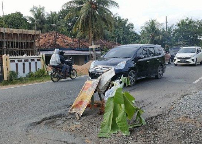 Sering Rusak dan Sebabkan Kecelakaan, Jalan Lintas Timur di Sekernan, Kabupaten Muaro Jambi Ditanami Pisang