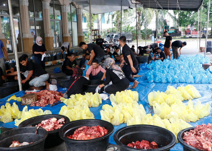 150 Ton Daging Kurban PTPN IV PalmCo Mengalir ke Pelosok Negeri