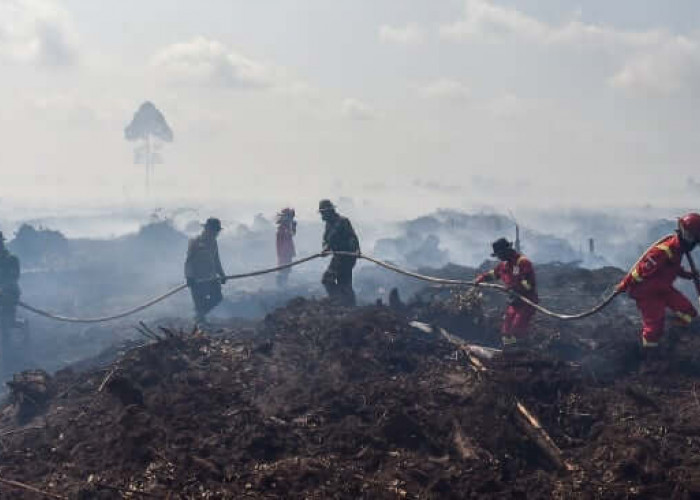 Muaro Jambi Dikepung 392 Titik Panas, BMKG Ingatkan Puncak Kemarau Masih Mengancam