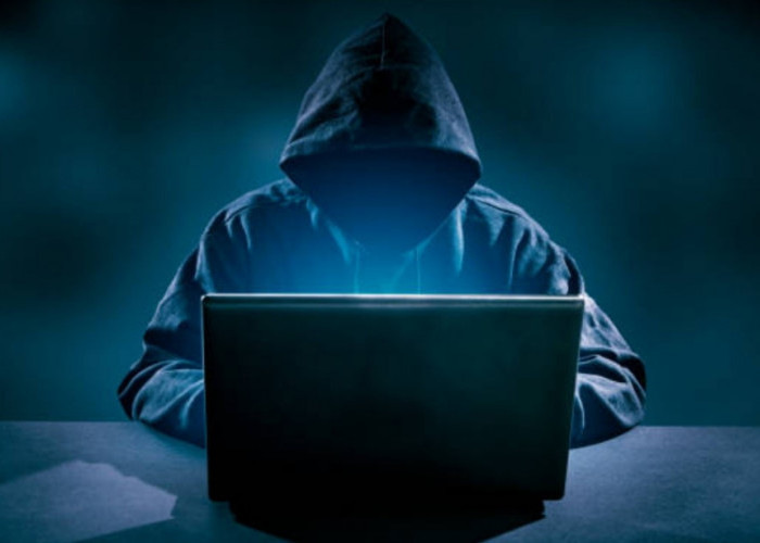 Serangan Siber sering Dilatarbelakangi Motif Financial
