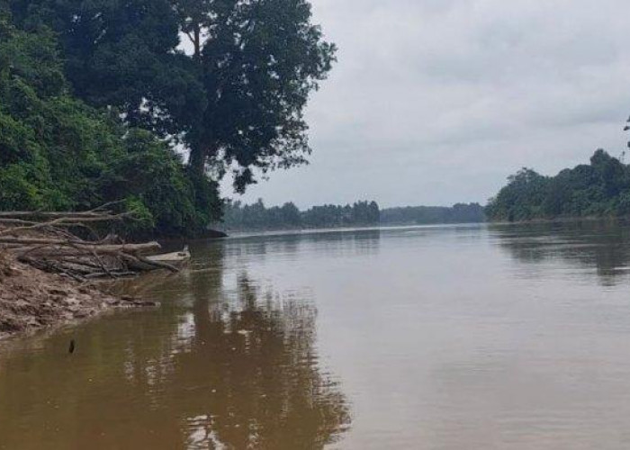Meski Debit Air Sungai Batanghari Stabil, BPBD Tebo Imbau Warga Tetap Waspada