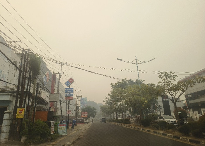 AQI Jambi 354 Pukul 08.00 WIB, Udara Masuk Kategori Berbahaya
