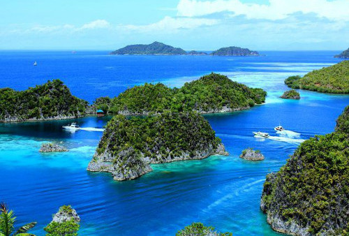 Tiga Provinsi Baru Lahir di Papua, Bagaimana dengan Provinsi Jambi?