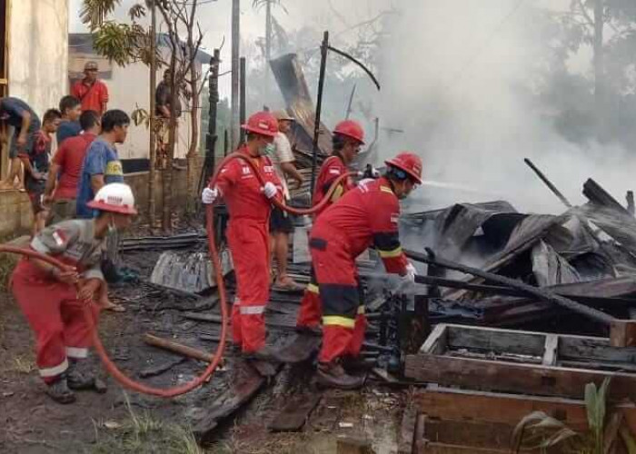 Kebakaran Lahan di Betara SKK Migas PetroChina International Jabung Ltd Sigap Bantu Pemadaman Api