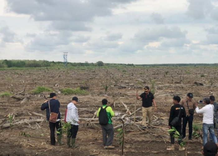 Tanam Sawit di Bibir Pantai Sadu, Pemilik Lahan Siap Bertanggung Jawab