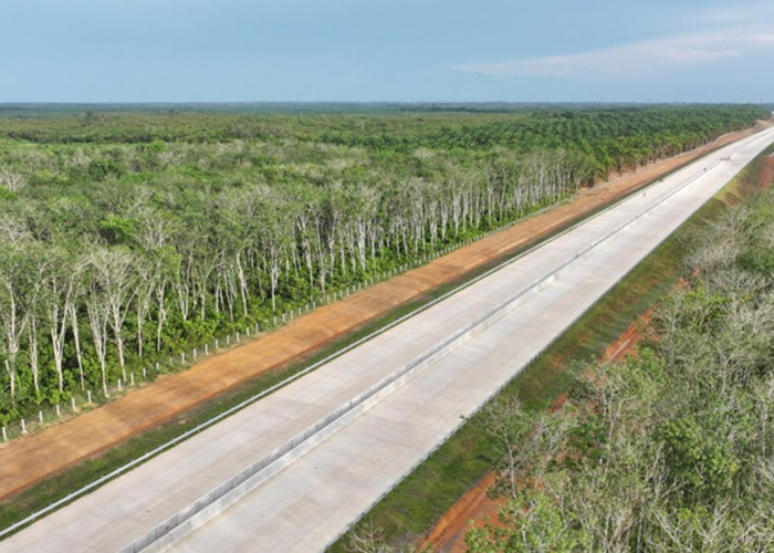 Jalan Tol Betung-Jambi Bakal Pangkas Perjalanan Jadi 3 Jam! Pengerjaan Terus Dikebut