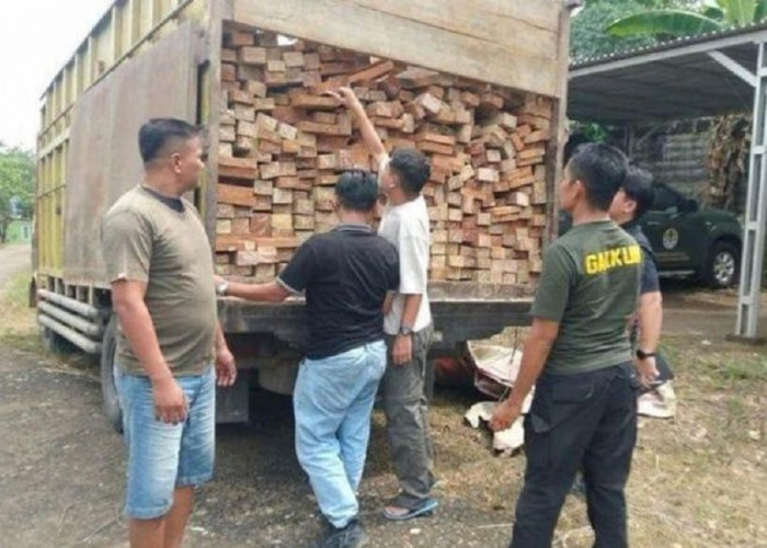 Kemenhut Usut Jaringan Kayu Ilegal Taman Nasional Bukit Tigapuluh, 1 Tersangka Ditahan