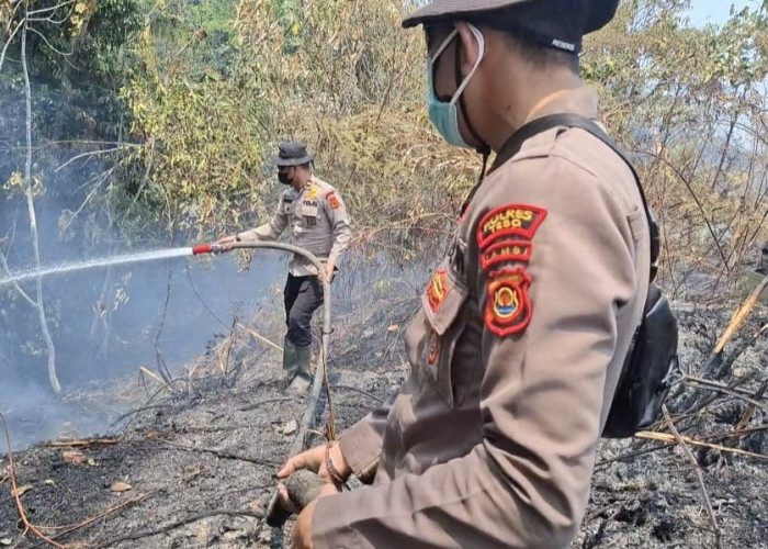 Puluhan Hektare Lahan Terbakar di Tebo, Polri Bersama TNI dan Instansi Lainnya Lakukan Pemadaman 